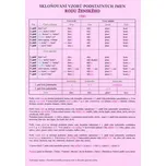 Skloňování vzorů podstatných jmen rodu…