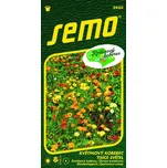 SEMO Tisíce světel květinový koberec 6 g