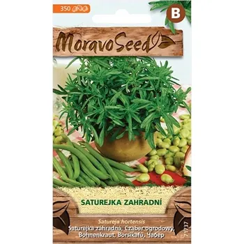 Semeno Semena Saturejka zahradní - Satureja hortensis 2.jakost