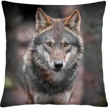 Polštář Polštář s vlkem 28 Mybesthome 40x40 cm Varianta: Povlak na polštář, 40x40 cm