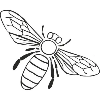 Obraz VČELKA pískování obrázku (Pískování obrázku na sklo z naší nabídky)