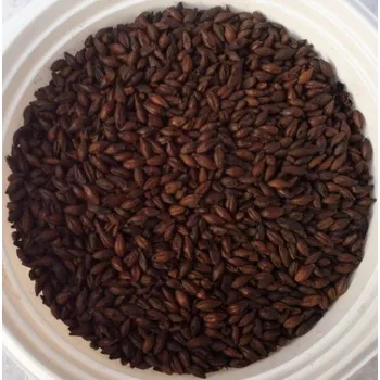 Koření Slad Carafa® typ II 100g