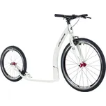 CRUSSIS ONE COBRA 4.1