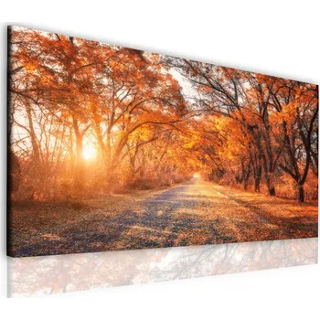 Obraz Malvis ® Obraz podzim v aleji Velikost: 60x40 cm