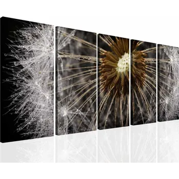 Malvis ® Pampeliška makro foto Velikost: 100x45 cm