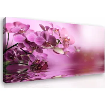 Obraz Malvis ® Obraz na zeď - orchidej Velikost: 60x40 cm