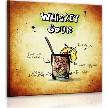 Malvis ® Obraz cedule Whiskey Sour Velikost (šířka x výška): 40x40 cm