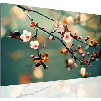 Malvis ® Obraz třešňový květ Velikost: 90x60 cm
