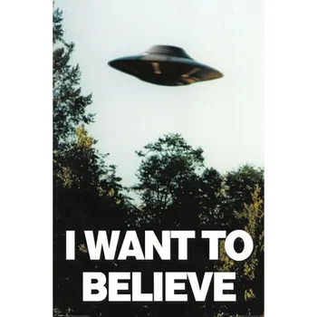 Pyramid International The X-Files I Want To Believe 61 x 91,5 cm Pyramid International The X-Files I Want To Believe 61 x 91,5 cm