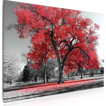 Obraz Malvis ® Obraz podzim v parku - červený Velikost (šířka x výška): obdélník - 90x60 cm