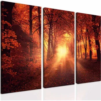 Obraz Malvis ® Obraz oranžový les Velikost: 90x70 cm