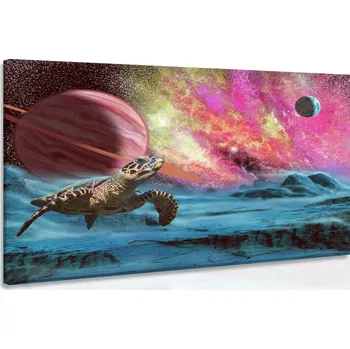Malvis ® Obraz želva z vesmíru Velikost: 90x60 cm