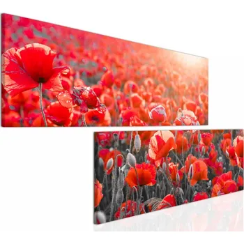 Obraz Malvis ® Dvoudílný obraz vlčí mák Velikost (šířka x výška): 180x90 cm