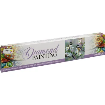 RMS Diamantové malování 30 x 30 cm, ptáček