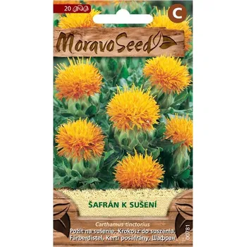 Semeno MoravoSeed Světlice barvířská šafrán k sušení 20 ks