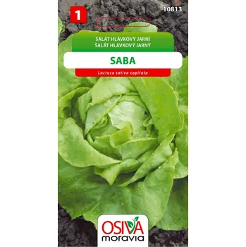 Semeno Salát hlávkový - Saba