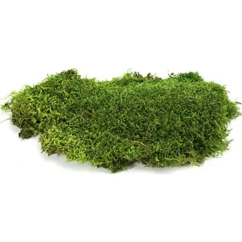 Dekorační stabilizovaný mech lesní plochý 2,5 kg, zelený