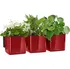 Květináč Lechuza Green Wall Home Kit Glossy 48 cm