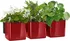 Květináč Lechuza Green Wall Home Kit Glossy 48 cm