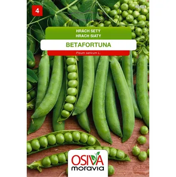 Semeno Hrách zahradní - Betafortuna