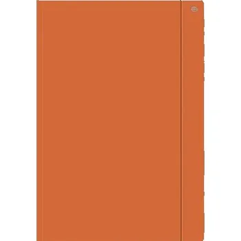 Set školních potřeb Teczka z gumką A4+ jednokolorowa pomarańcz (10szt)