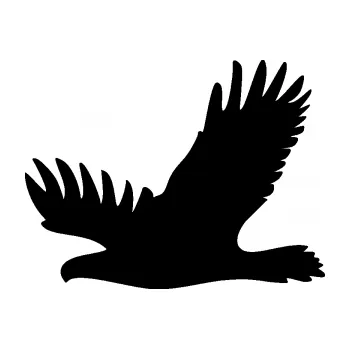 Samolepící dekorace SAMOLEPKA Dravec na sklo 004 levá (01 - černá) NA AUTO, NÁLEPKA, FÓLIE, POLEP, TUNING, VLASTNÍ TEXT, TISK, AUTOSAMOLEPKY.cz, POLEPY, OBRÁZEK, LOGO, SAMOLEPKY