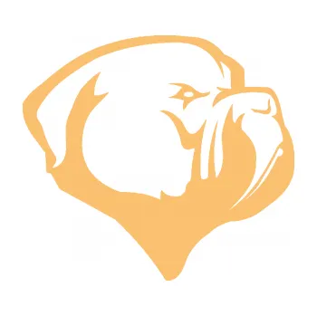 Polep vozidla Pes 116 pravá pitbull (08 - béžová) SAMOLEPKA NA AUTO, NÁLEPKA, FÓLIE, POLEP, TUNING, VLASTNÍ TEXT, TISK, AUTOSAMOLEPKY.cz, POLEPY, OBRÁZEK, LOGO, 3D STICKERS