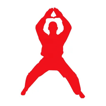 Polep vozidla SAMOLEPKA Karate 003 pravá (10 - červená) NA AUTO, NÁLEPKA, FÓLIE, POLEP, TUNING, VLASTNÍ TEXT, TISK, AUTOSAMOLEPKY.cz, POLEPY, OBRÁZEK, LOGO, SAMOLEPKY