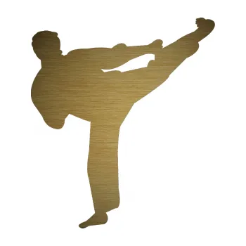 Polep vozidla Karate 008 pravá (64 - škrábaný kov zlatý) SAMOLEPKA NA AUTO, NÁLEPKA, FÓLIE, POLEP, TUNING, VLASTNÍ TEXT, TISK, AUTOSAMOLEPKY.cz, POLEPY, OBRÁZEK, LOGO, 3D STICKERS