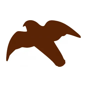 Samolepící dekorace Dravec na sklo 003 levá (15 - hnědá) SAMOLEPKA NA AUTO, NÁLEPKA, FÓLIE, POLEP, TUNING, VLASTNÍ TEXT, TISK, AUTOSAMOLEPKY.cz, POLEPY, OBRÁZEK, LOGO, 3D STICKERS