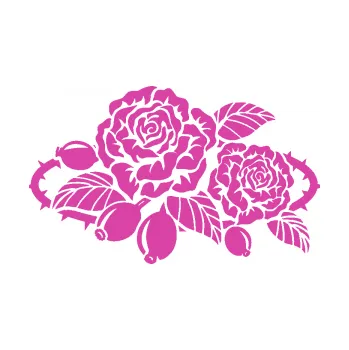 Samolepící dekorace SAMOLEPKA Interiér 004 levá růže šípková (16 - růžová) NA AUTO, NÁLEPKA, FÓLIE, POLEP, TUNING, VLASTNÍ TEXT, TISK, AUTOSAMOLEPKY.cz, POLEPY, OBRÁZEK, LOGO, SAMOLEPKY