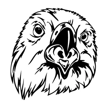 Samolepicí dekorace na vozidlo Predators 008 pravá (01 - černá) SAMOLEPKA NA AUTO, NÁLEPKA, FÓLIE, POLEP, TUNING, VLASTNÍ TEXT, TISK, AUTOSAMOLEPKY.cz, POLEPY, OBRÁZEK, LOGO, 3D STICKERS