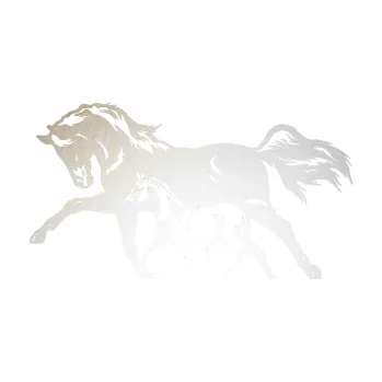 Samolepící dekorace SAMOLEPKA Koníci 003 levá kobylka s hříbětem (82 - odrazková reflexní bílá) NA AUTO, NÁLEPKA, FÓLIE, POLEP, TUNING, VLASTNÍ TEXT, TISK, AUTOSAMOLEPKY.cz, POLEPY, OBRÁZEK, LOGO, SAMOLEPKY