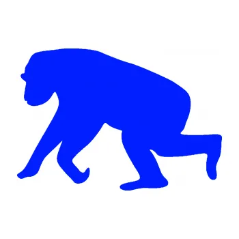 Samolepící dekorace Opice 001 levá (19 - modrá dynamic) SAMOLEPKA NA AUTO, NÁLEPKA, FÓLIE, POLEP, TUNING, VLASTNÍ TEXT, TISK, AUTOSAMOLEPKY.cz, POLEPY, OBRÁZEK, LOGO, 3D STICKERS