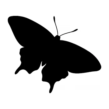 Samolepící dekorace Motýl 010 pravá (01 - černá) SAMOLEPKA NA AUTO, NÁLEPKA, FÓLIE, POLEP, TUNING, VLASTNÍ TEXT, TISK, AUTOSAMOLEPKY.cz, POLEPY, OBRÁZEK, LOGO, 3D STICKERS