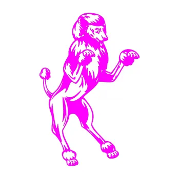 samolepka Pes 023 pravá Pudl (72 - Fluorescentní růžová) SAMOLEPKA NA AUTO, NÁLEPKA, FÓLIE, POLEP, TUNING, VLASTNÍ TEXT, TISK, AUTOSAMOLEPKY.cz, POLEPY, OBRÁZEK, LOGO, 3D STICKERS