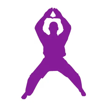 Polep vozidla Karate 003 levá (14 - fialová) SAMOLEPKA NA AUTO, NÁLEPKA, FÓLIE, POLEP, TUNING, VLASTNÍ TEXT, TISK, AUTOSAMOLEPKY.cz, POLEPY, OBRÁZEK, LOGO, 3D STICKERS