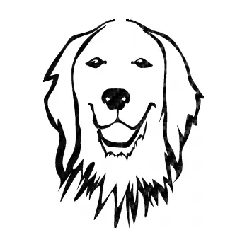 Polep vozidla SAMOLEPKA Pes 085 levá Retrívr (50 - 3D karbon černý) NA AUTO, NÁLEPKA, FÓLIE, POLEP, TUNING, VLASTNÍ TEXT, TISK, AUTOSAMOLEPKY.cz, POLEPY, OBRÁZEK, LOGO, SAMOLEPKY