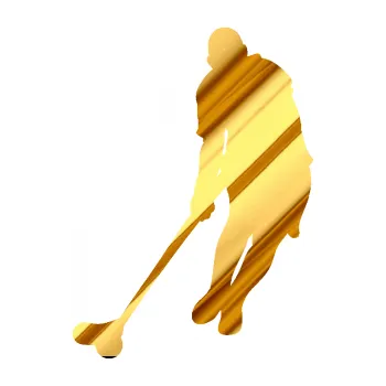 Samolepicí dekorace na vozidlo Florbal 001 levá (81 - chrom fólie zlatá zrcadlová) SAMOLEPKA NA AUTO, NÁLEPKA, FÓLIE, POLEP, TUNING, VLASTNÍ TEXT, TISK, AUTOSAMOLEPKY.cz, POLEPY, OBRÁZEK, LOGO, 3D STICKERS