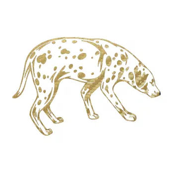 Polep vozidla SAMOLEPKA Pes 001 pravá Dalmatin (59 - 3D karbon zlatý) NA AUTO, NÁLEPKA, FÓLIE, POLEP, TUNING, VLASTNÍ TEXT, TISK, AUTOSAMOLEPKY.cz, POLEPY, OBRÁZEK, LOGO, SAMOLEPKY