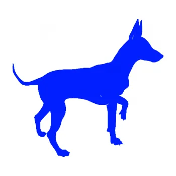 Polep vozidla SAMOLEPKA Pes 093 pravá Pražský krysařík (19 - modrá dynamic) NA AUTO, NÁLEPKA, FÓLIE, POLEP, TUNING, VLASTNÍ TEXT, TISK, AUTOSAMOLEPKY.cz, POLEPY, OBRÁZEK, LOGO, SAMOLEPKY