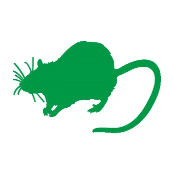 Samolepící dekorace Krysa 002 levá (12 - zelená) SAMOLEPKA NA AUTO, NÁLEPKA, FÓLIE, POLEP, TUNING, VLASTNÍ TEXT, TISK, AUTOSAMOLEPKY.cz, POLEPY, OBRÁZEK, LOGO, 3D STICKERS