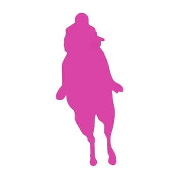 Samolepící dekorace SAMOLEPKA Kůň 018 levá s jezdcem (16 - růžová) NA AUTO, NÁLEPKA, FÓLIE, POLEP, TUNING, VLASTNÍ TEXT, TISK, AUTOSAMOLEPKY.cz, POLEPY, OBRÁZEK, LOGO, SAMOLEPKY