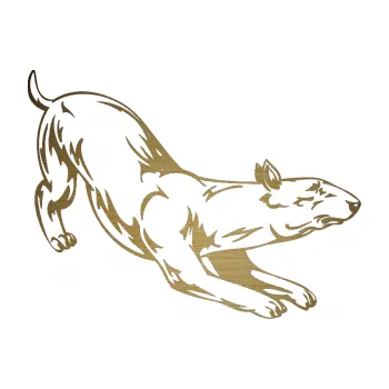 Polep vozidla SAMOLEPKA Pes 009 pravá (64 - škrábaný kov zlatý) NA AUTO, NÁLEPKA, FÓLIE, POLEP, TUNING, VLASTNÍ TEXT, TISK, AUTOSAMOLEPKY.cz, POLEPY, OBRÁZEK, LOGO, SAMOLEPKY