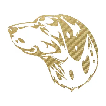 Polep vozidla SAMOLEPKA Pes 002 levá Dalmatin (59 - 3D karbon zlatý) NA AUTO, NÁLEPKA, FÓLIE, POLEP, TUNING, VLASTNÍ TEXT, TISK, AUTOSAMOLEPKY.cz, POLEPY, OBRÁZEK, LOGO, SAMOLEPKY