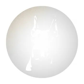 Polep vozidla Pes 142 levá dobrman (82 - odrazková reflexní bílá) SAMOLEPKA NA AUTO, NÁLEPKA, FÓLIE, POLEP, TUNING, VLASTNÍ TEXT, TISK, AUTOSAMOLEPKY.cz, POLEPY, OBRÁZEK, LOGO, 3D STICKERS