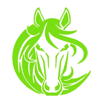 Samolepící dekorace Kůň 043 levá (04 - zelená kawasaki) SAMOLEPKA NA AUTO, NÁLEPKA, FÓLIE, POLEP, TUNING, VLASTNÍ TEXT, TISK, AUTOSAMOLEPKY.cz, POLEPY, OBRÁZEK, LOGO, 3D STICKERS