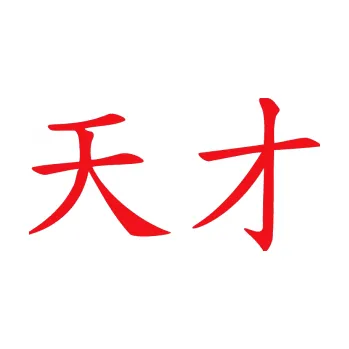 Polep vozidla SAMOLEPKA Čínský znak Genius (10 - červená) NA AUTO, NÁLEPKA, FÓLIE, POLEP, TUNING, VLASTNÍ TEXT, TISK, AUTOSAMOLEPKY.cz, POLEPY, OBRÁZEK, LOGO, SAMOLEPKY