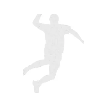 Samolepicí dekorace na vozidlo Házená 001 pravá hráč (84 - Ultra Metalic bílá) SAMOLEPKA NA AUTO, NÁLEPKA, FÓLIE, POLEP, TUNING, VLASTNÍ TEXT, TISK, AUTOSAMOLEPKY.cz, POLEPY, OBRÁZEK, LOGO, 3D STICKERS