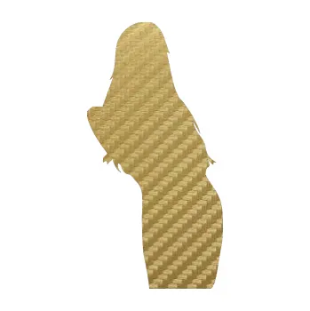 Polep vozidla Erotická žena 005 pravá (59 - 3D karbon zlatý) SAMOLEPKA NA AUTO, NÁLEPKA, FÓLIE, POLEP, TUNING, VLASTNÍ TEXT, TISK, AUTOSAMOLEPKY.cz, POLEPY, OBRÁZEK, LOGO, 3D STICKERS